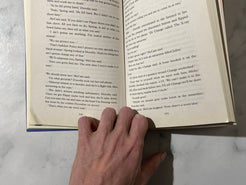 Double Homicide Boston / Santa Fe by Faye and Jonathan Kellerman