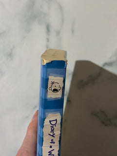 Diary of a Wimpy Kid #6: Cabin Fever