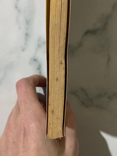 The Foggiest by David Belbin