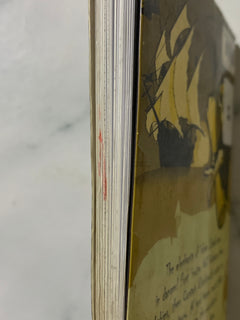 Dragon Blood Pirates #3 Idols and Ivory by Dan Jerris