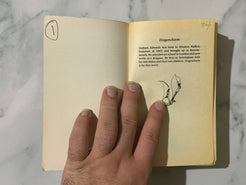 Dragoncharm Book 1 of The Ultimate Dragon Saga by Graham Edwards