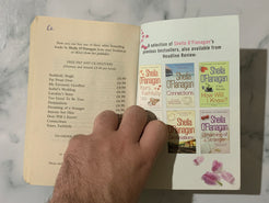 Bad Behaviour by Sheila O'Flanagan